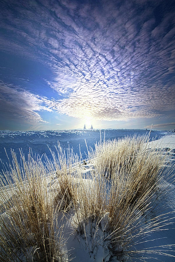 The Earth Has Music For Those That Listen Photograph by Phil Koch