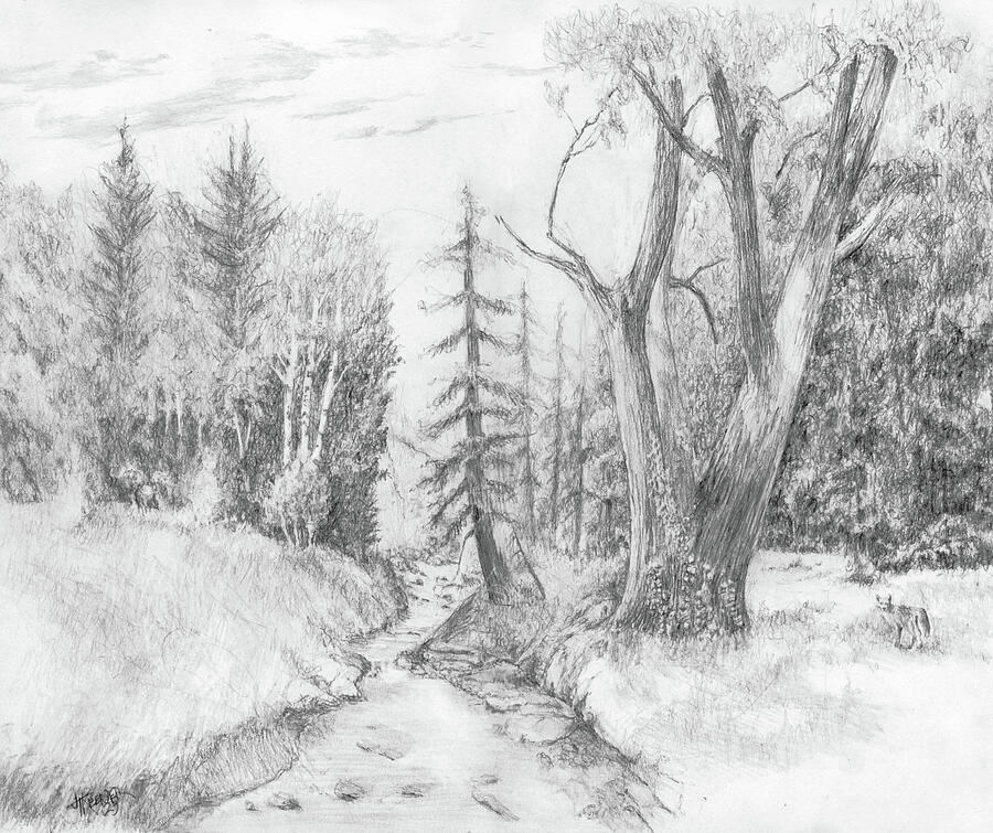 The Edge Drawing by Joel Keener The Edge Drawing by Joel Keener