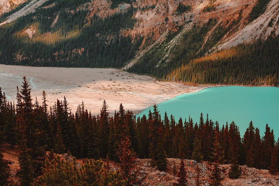 The Edge of a Mountain Lake Photograph by Scott Hunt - Fine Art America