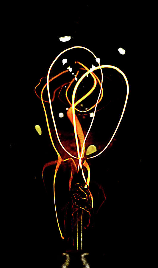 The Edison Lightbulb Photograph by Nadalyn Larsen