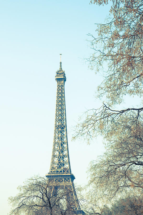 The Eiffel Tower Photograph by Littleclie