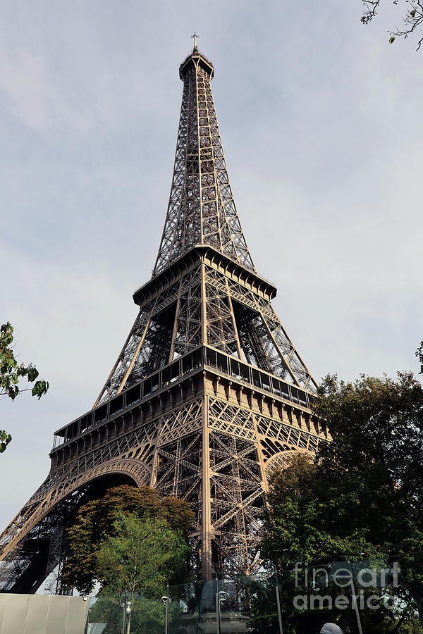 The Eiffel Tower, Paris, France Photograph by Steven Spak