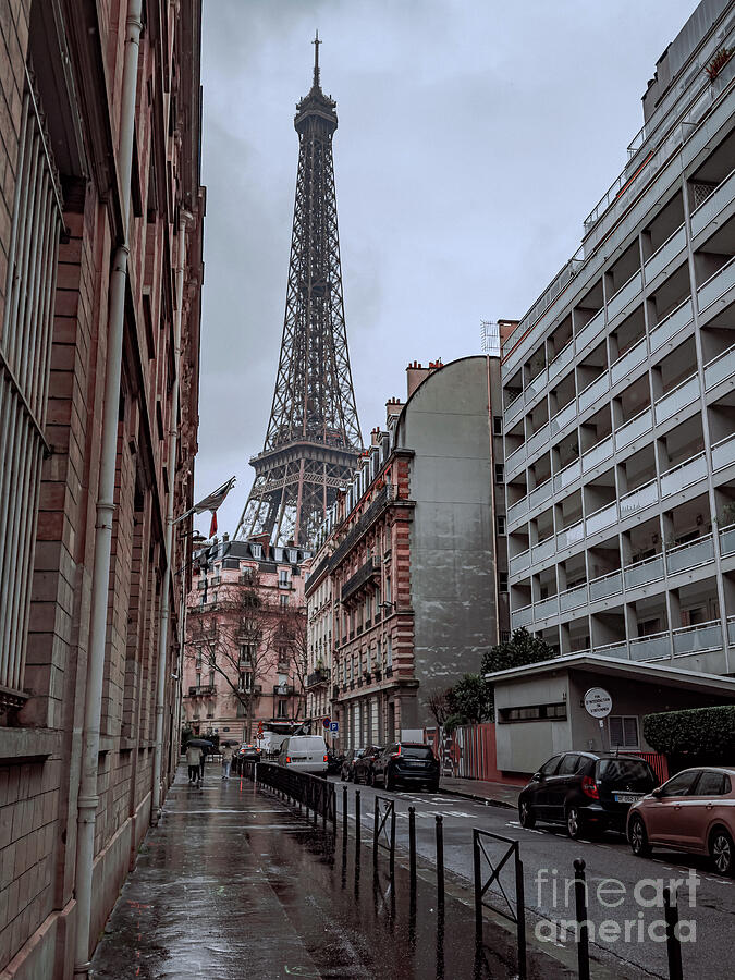 The Eiffel Tower Photograph by William Norton
