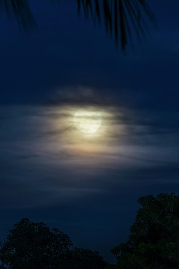 The Eighth Moon Photograph by Mark Andrew Thomas
