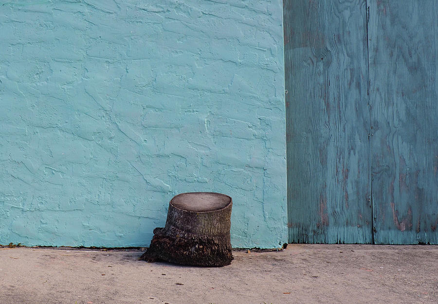 The Elephants foot Photograph by Luz Resto The Elephants foot Photograph by Luz Resto
