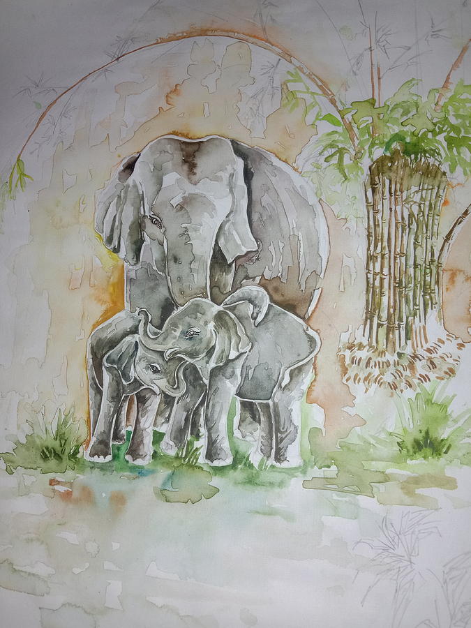 sri lankan elephant drawing
