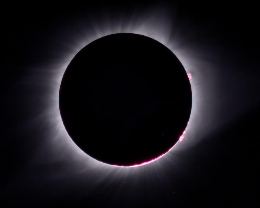 The Elipse Photograph by Mark Dodd