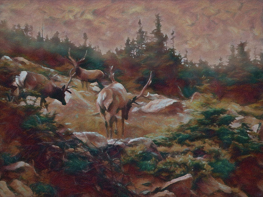 The Elk Painterly 3 Digital Art