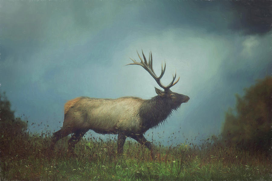 The Elk Painterly Version Photograph by Carrie Ann Grippo-Pike