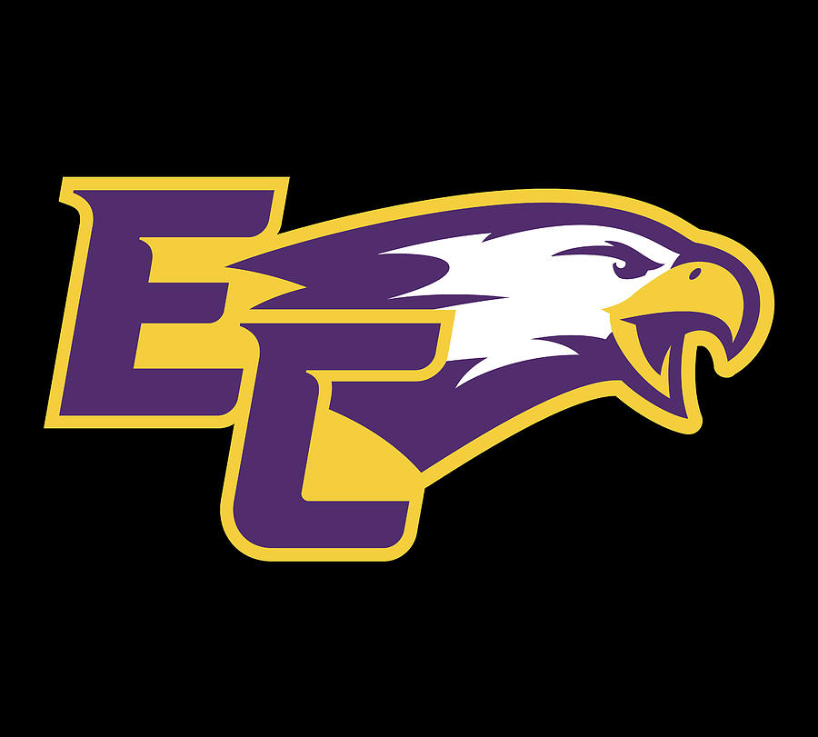 The Elmira College Soaring Eagles Digital Art by Bush Benis - Fine Art ...