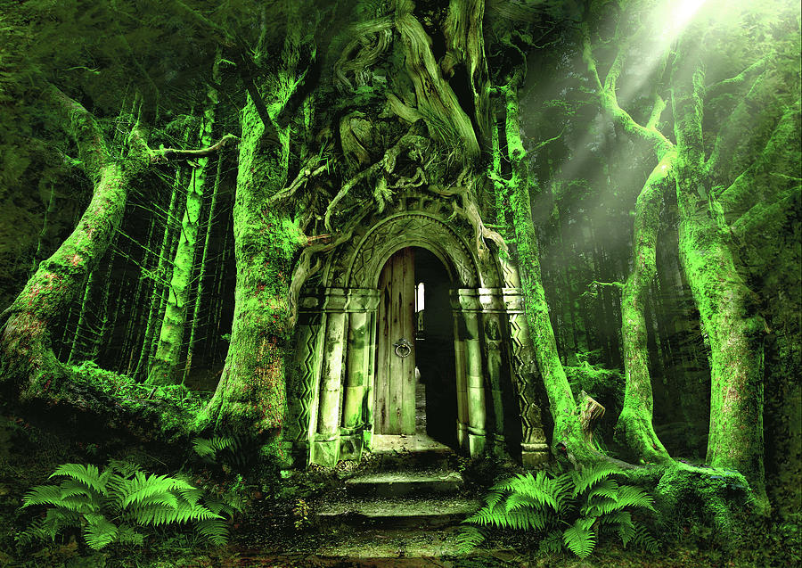 The Emerald Forest Digital Art by Angela Jayne Latham