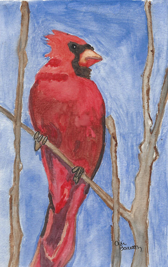 Red Watercolor Cardinal -The Emperor Painting by Ali Baucom
