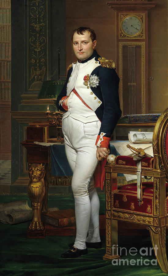The Emperor Napoleon by Jacques Louis David  Photograph by Carlos Diaz