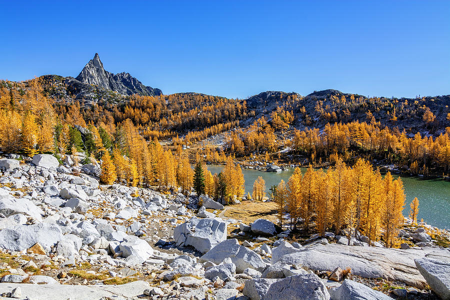 The Enchantments - Larches 5 Photograph by Pelo Blanco Photo