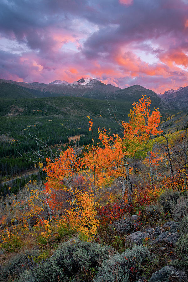 The End of Autumn - Rocky Mountain National Park Photograph by Aaron Spong