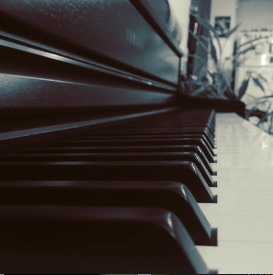 Music Photograph - The Endless Piano by Bindu Krishnan Roy