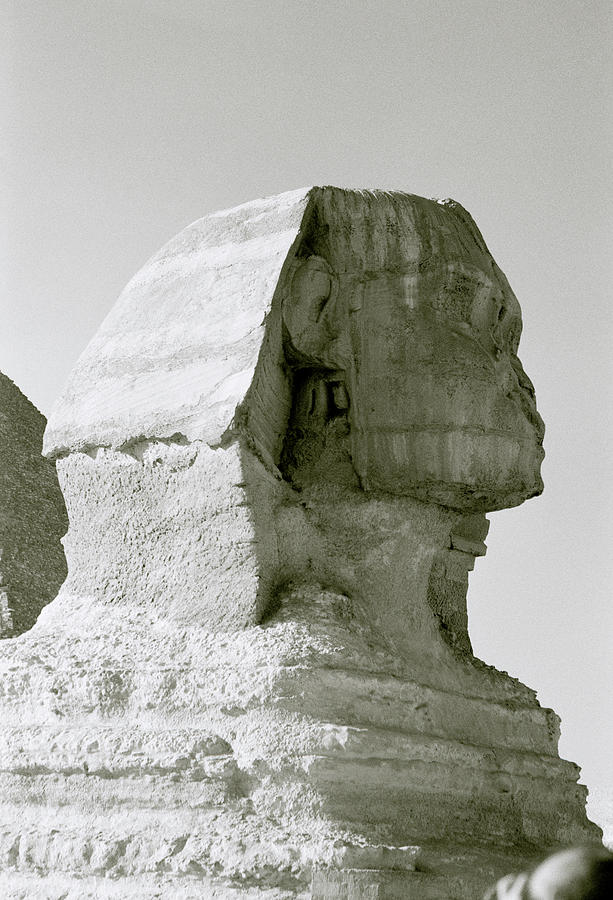 The Enigma Of The Sphinx Photograph by Shaun Higson