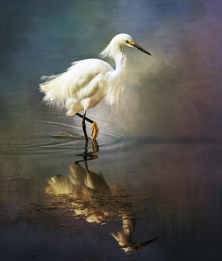 Egret Digital Art - The Ethereal Egret by Nicole Wilde