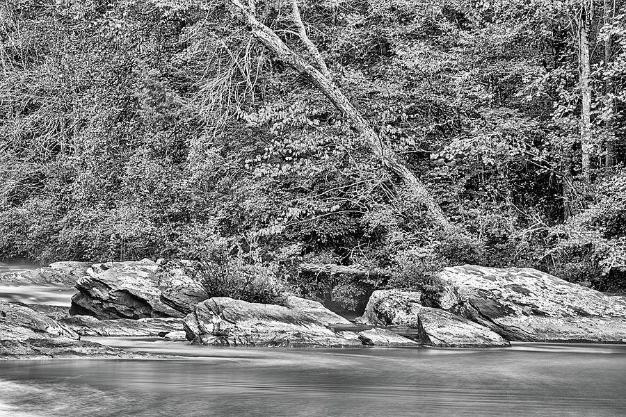 The Etowah River Black and WHite Photograph by JC Findley