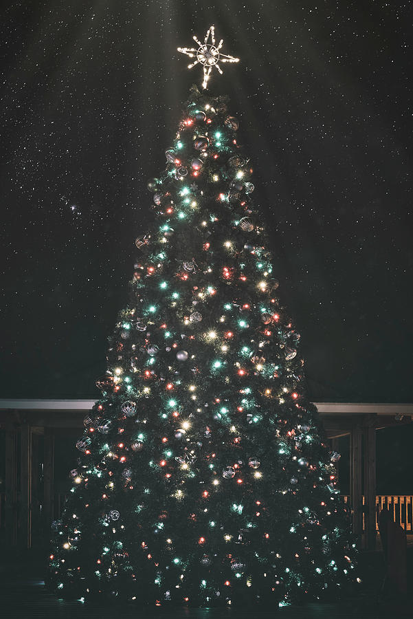 The Eve Of Christmas Photograph by Robert Fawcett