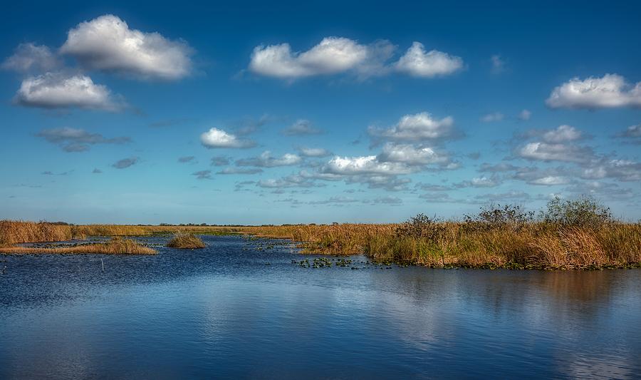 The Everglades Photograph By Mountain Dreams - Fine Art America