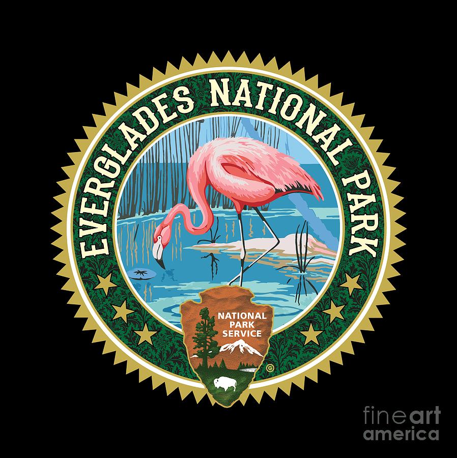 The Everglades National Park Digital Art by Gary Grayson