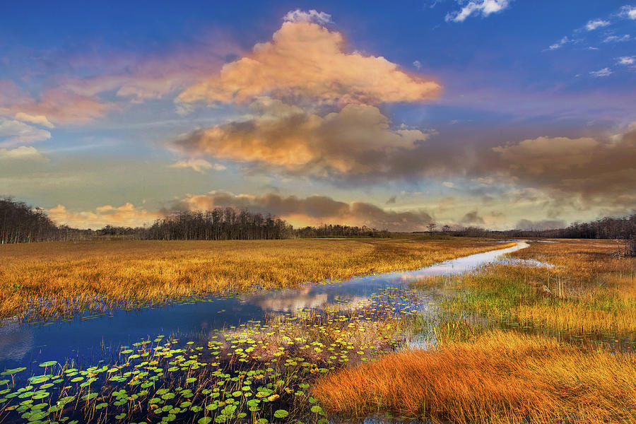 The Everglades Sunset Photograph by Debra and Dave Vanderlaan