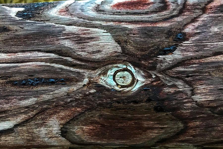The eye in the wood Photograph by Chris Clark