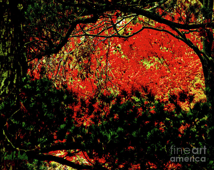 Autumn Sunset - The Eye of Fall Photograph by Carol F Austin