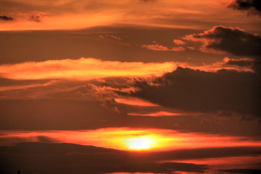 The eye of sunset  Photograph by David Matthews