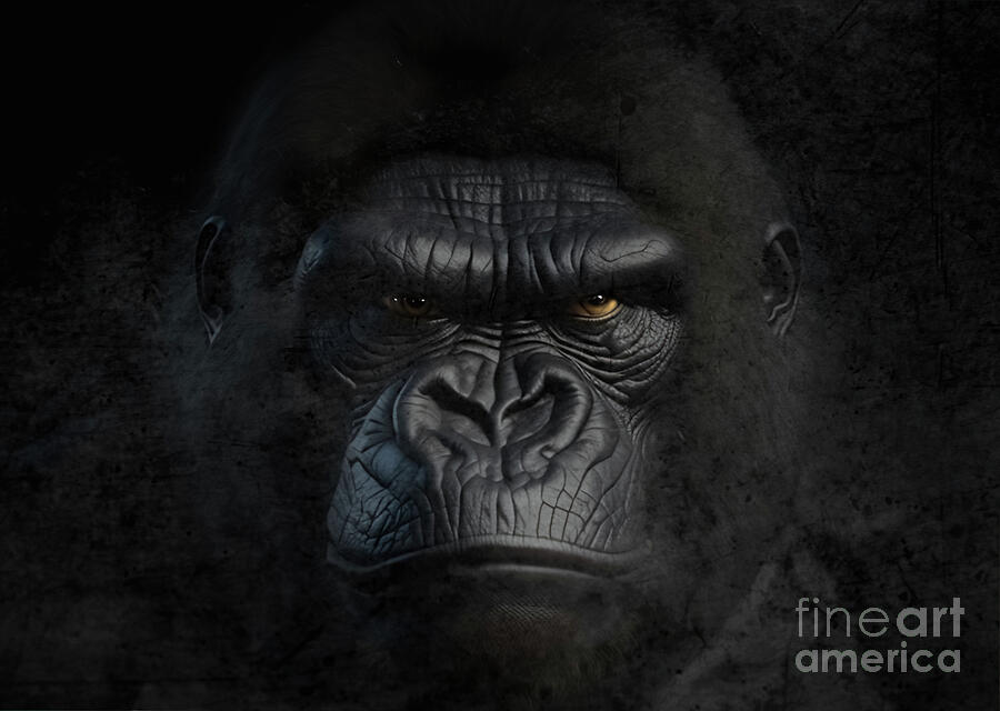 The Face Of A Male Gorilla Digital Art by Michelle Meenawong