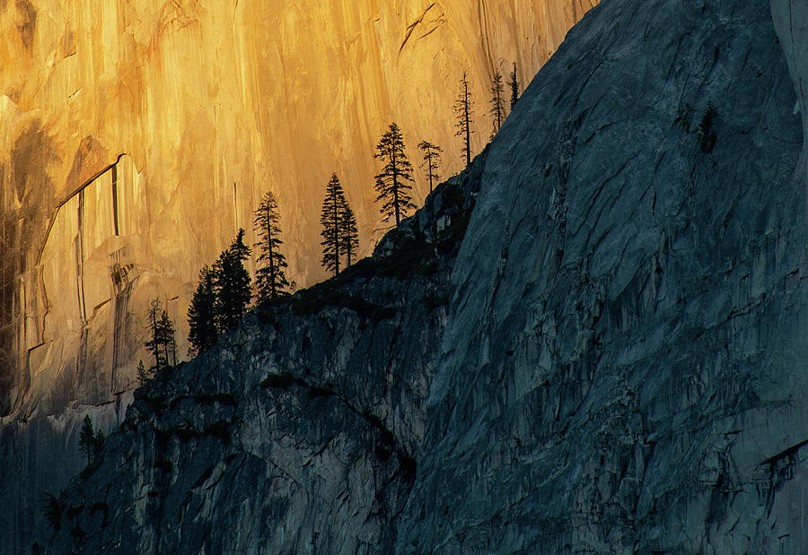 The Face of Sunset and March of Trees at Sunset on Half Dome in Yosemite National Park Photograph by Bruce Gourley