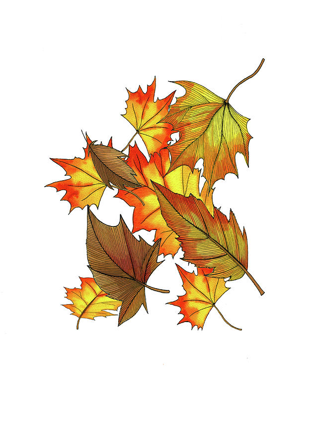 Fall Drawing - The Fall  by Andrew Hitchen