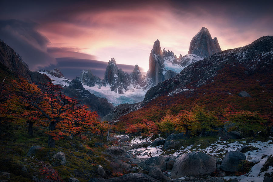 The Fall Color under Fitz Roy1 Photograph by Celia Zhen - Fine Art America