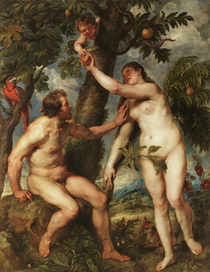 Peter Paul Rubens Painting - The Fall of Man by Peter Paul Rubens  by Mango Art