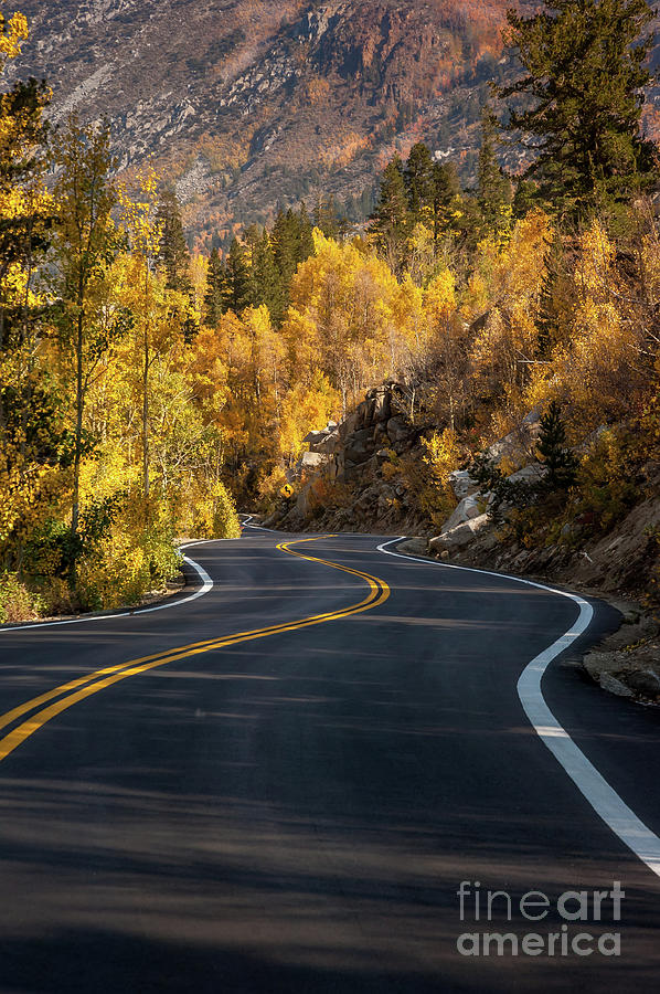 The Fall Road Photograph by Micah May