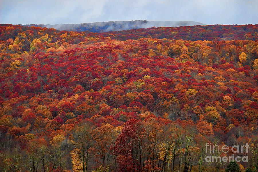 The Fall Season of Color Photograph by Roberta Byram