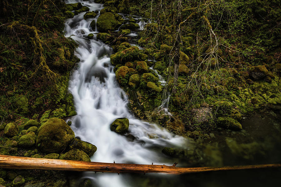 The Falls at Boulder Creek  Photograph by Laura Roberts