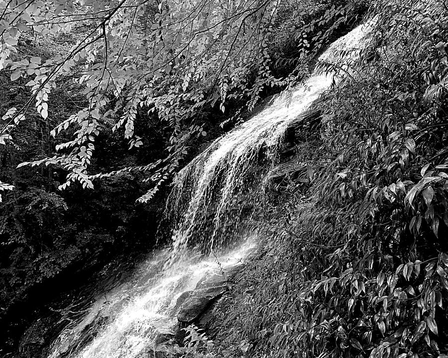 The Falls Bw Photograph
