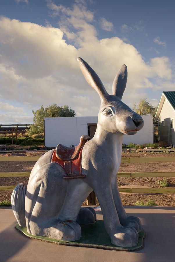 The Famous Giant Jack Rabbit Photograph by Bob Pardue