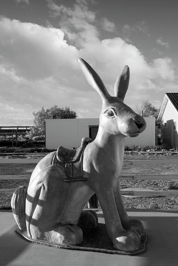 The Famous Giant Jack Rabbit BW Photograph by Bob Pardue
