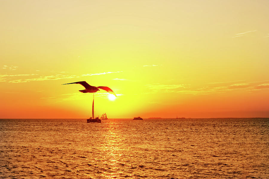 The Famous Key West Sunset  Photograph by Kay Brewer