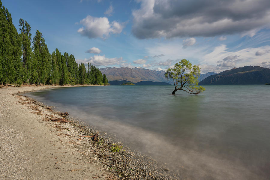 The famous Wanaka tree at Lake Wanaka taken with a long exposure Photograph by Anges Van der Logt