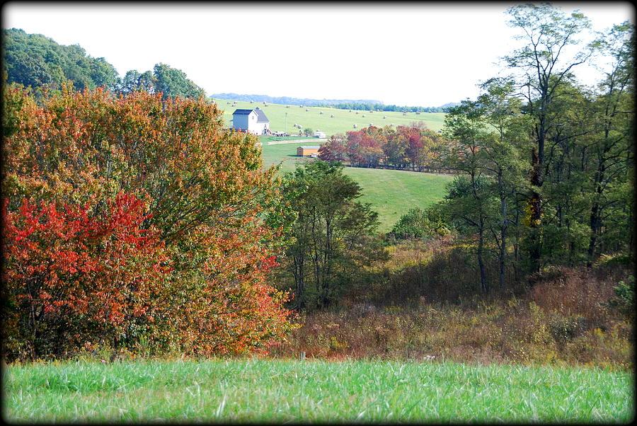 The Farm Photograph By Amy Scheer 