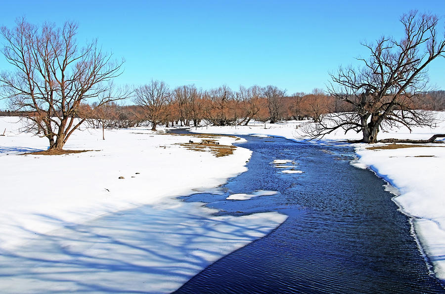 The Farm Creek Photograph by Debbie Oppermann - Fine Art America