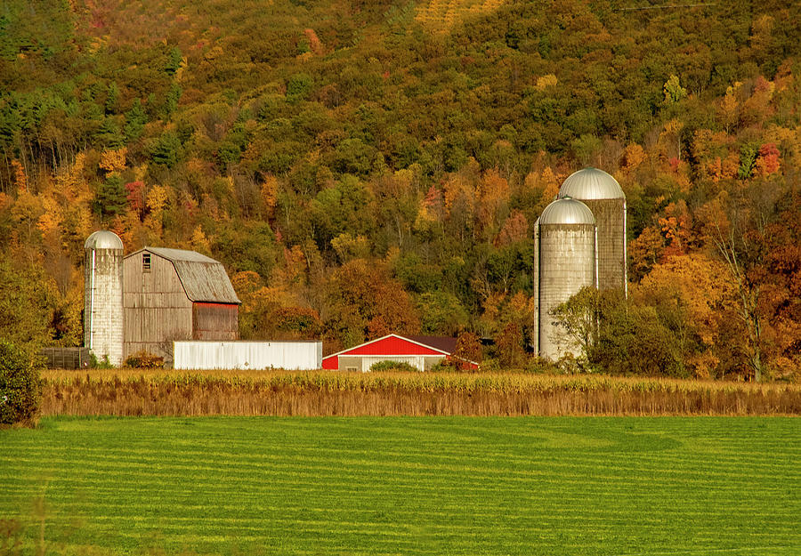 The Farm In Autumn Photograph by Cathy Kovarik
