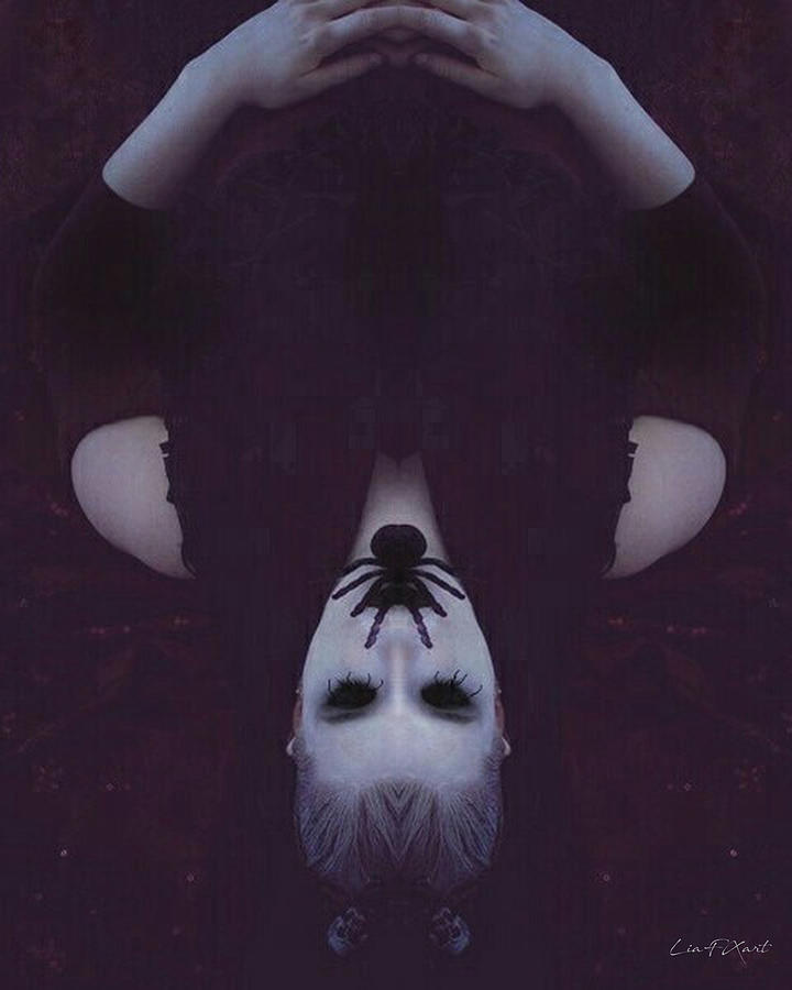 My Image 26