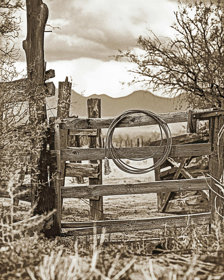 The Fence Photograph by Don Schimmel