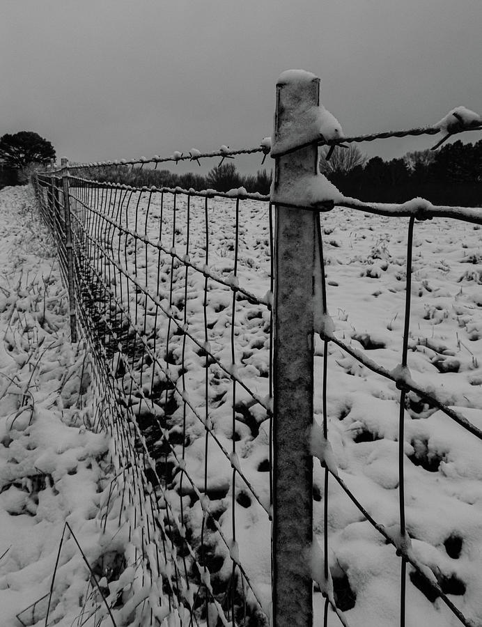 The fence line Photograph by Jamie Tyler