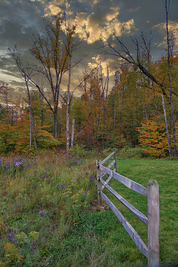 The Fence row Photograph by Mike Griffiths - Fine Art America